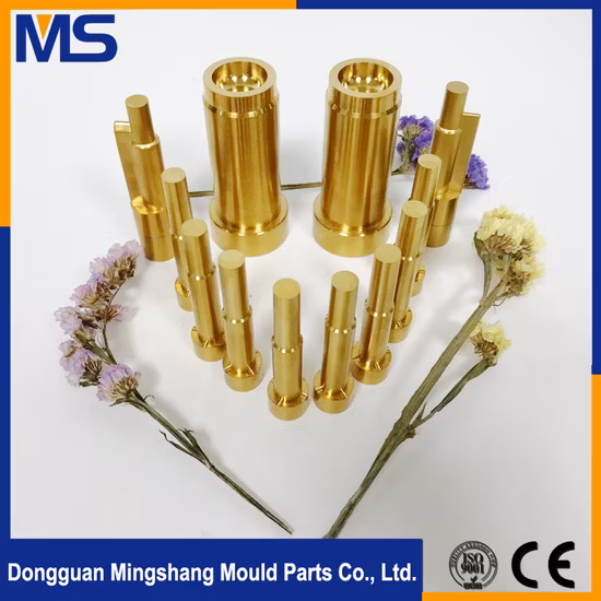 Professional Team, Professional Technology, Customized Production, High-Precision Casting Mold Parts Customization